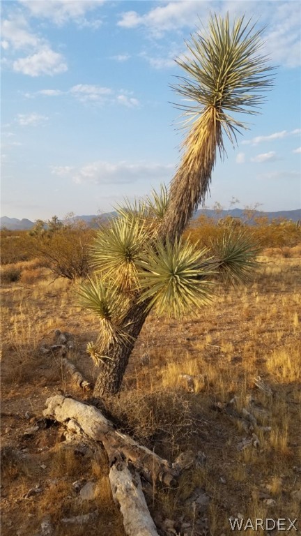 Lot 290 South Rawhide Road Yucca, AZ 86438 - Photo 14 of 48 Gallery Image 14