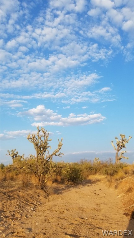 Lot 290 South Rawhide Road Yucca, AZ 86438 - Photo 17 of 48 Gallery Image 17