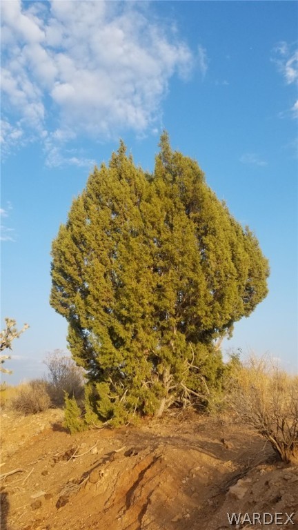 Lot 290 South Rawhide Road Yucca, AZ 86438 - Photo 18 of 48 Gallery Image 18
