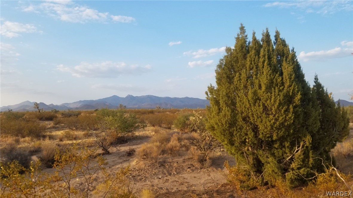 Lot 290 South Rawhide Road Yucca, AZ 86438 - Photo 19 of 48 Gallery Image 19