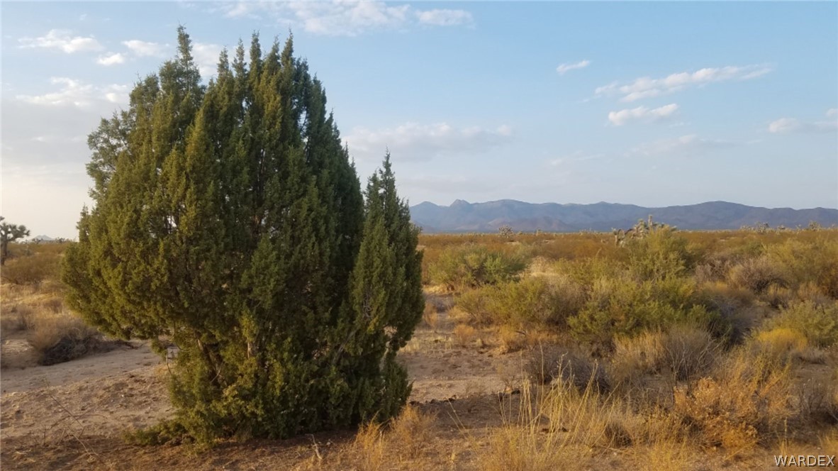 Lot 290 South Rawhide Road Yucca, AZ 86438 - Photo 20 of 48 Gallery Image 20