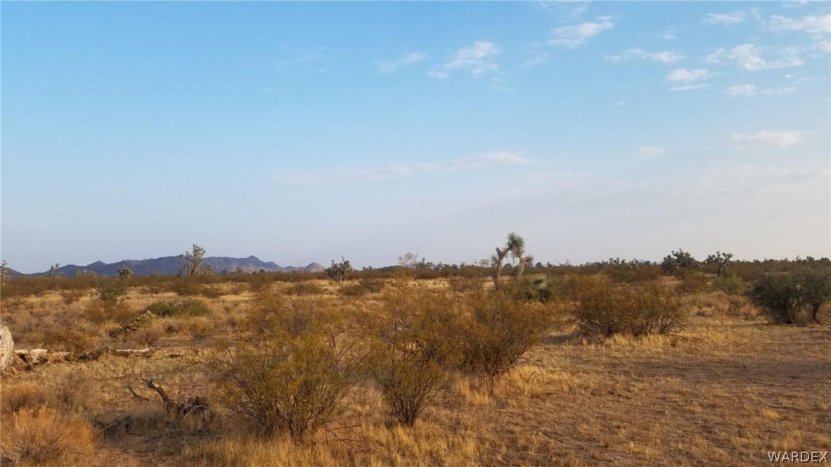 Lot 290 South Rawhide Road Yucca, AZ 86438 - Photo 21 of 48 Gallery Image 21
