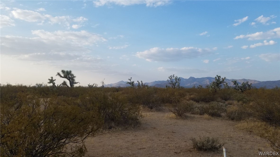 Lot 290 South Rawhide Road Yucca, AZ 86438 - Photo 23 of 48 Gallery Image 23