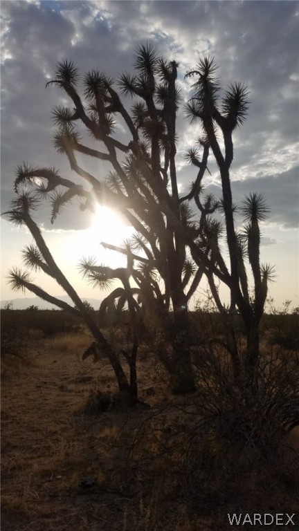 Lot 290 South Rawhide Road Yucca, AZ 86438 - Photo 26 of 48 Gallery Image 26