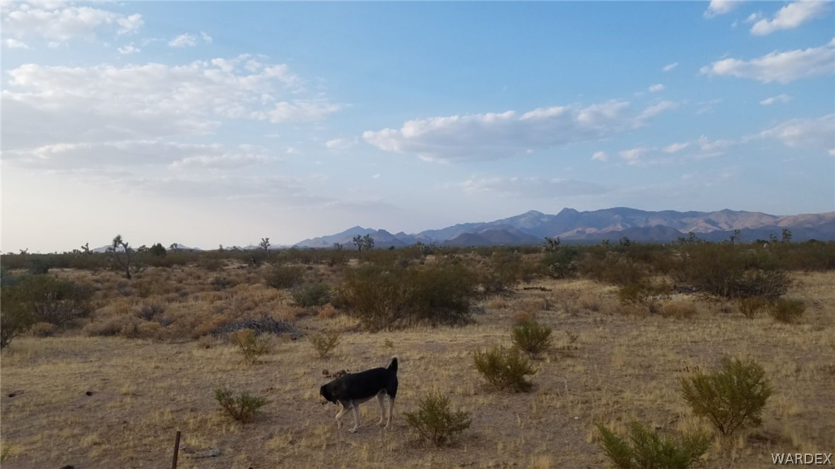 Lot 290 South Rawhide Road Yucca, AZ 86438 - Photo 28 of 48 Gallery Image 28