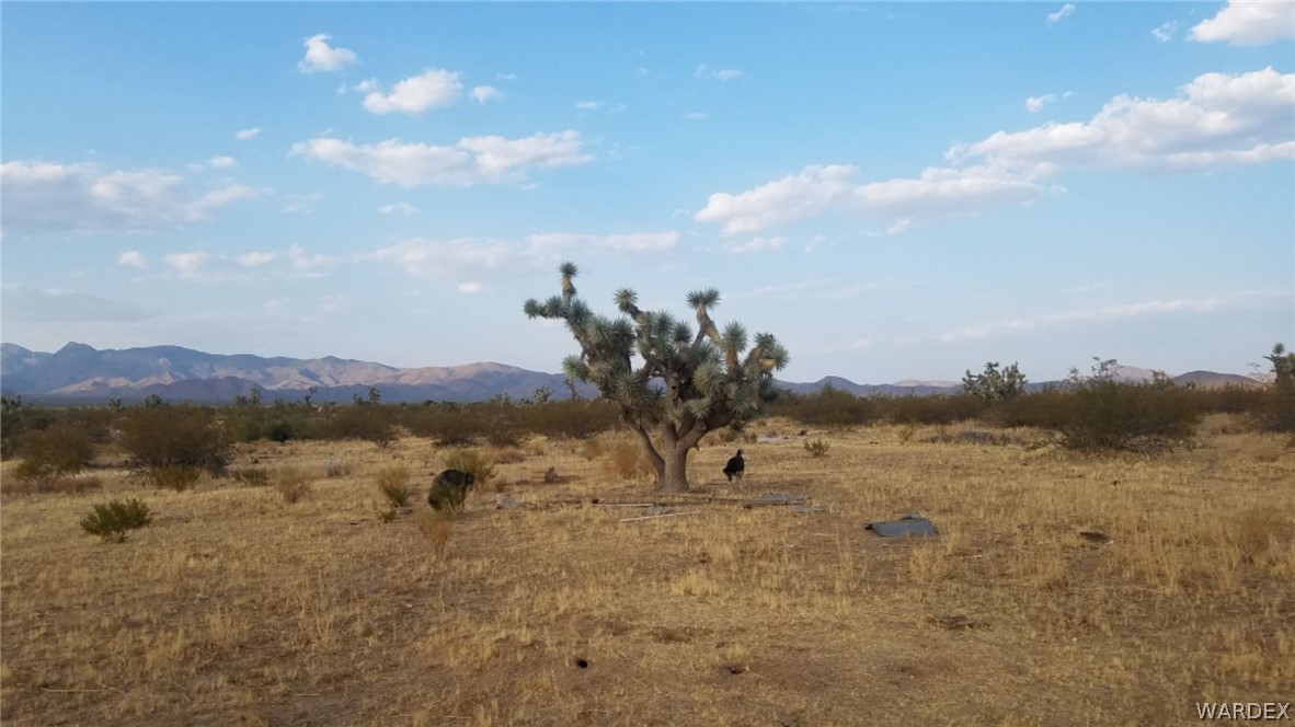 Lot 290 South Rawhide Road Yucca, AZ 86438 - Photo 30 of 48 Gallery Image 30