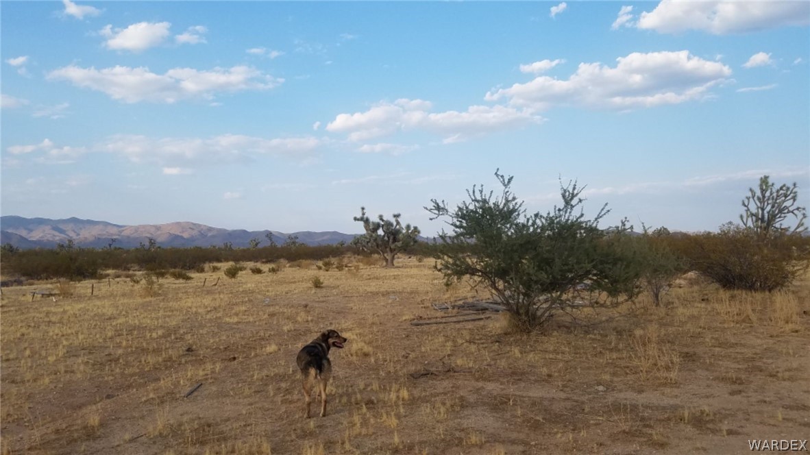 Lot 290 South Rawhide Road Yucca, AZ 86438 - Photo 32 of 48 Gallery Image 32