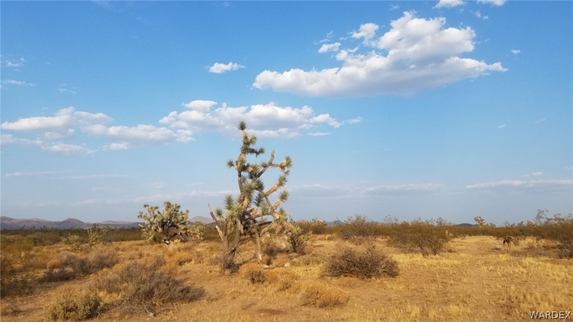 Lot 290 South Rawhide Road Yucca, AZ 86438 - Photo 34 of 48 Gallery Image 34