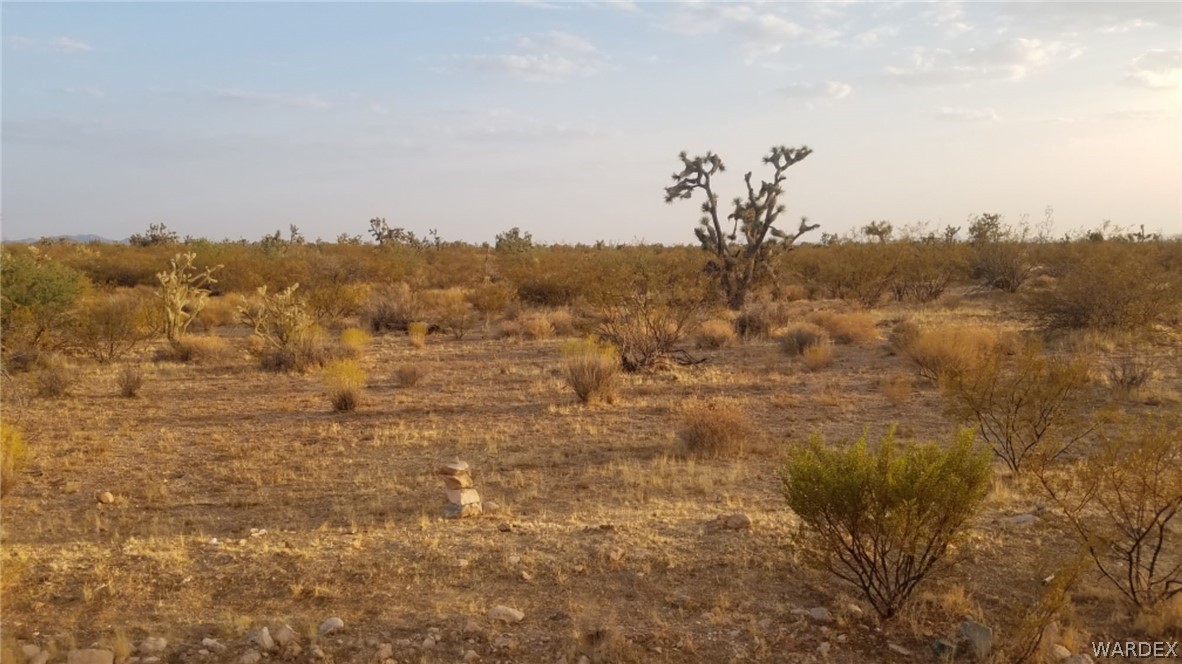 Lot 290 South Rawhide Road Yucca, AZ 86438 - Photo 4 of 48 Gallery Image 4