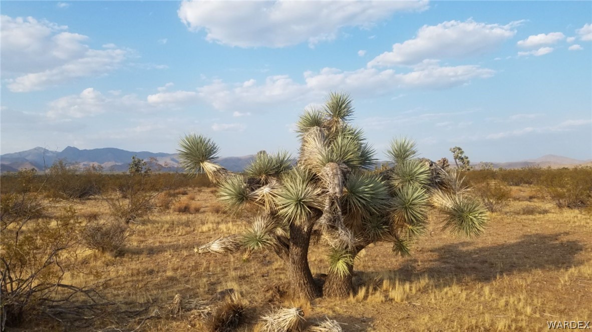 Lot 290 South Rawhide Road Yucca, AZ 86438 - Photo 41 of 48 Gallery Image 41