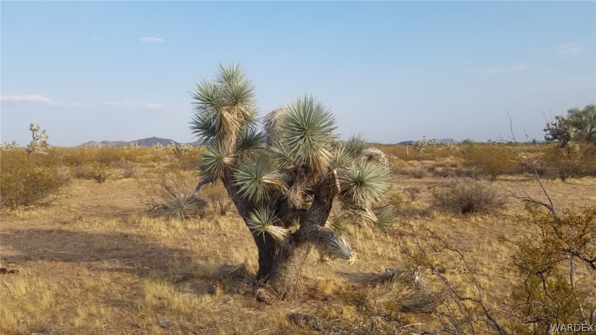 Lot 290 South Rawhide Road Yucca, AZ 86438 - Photo 42 of 48 Gallery Image 42
