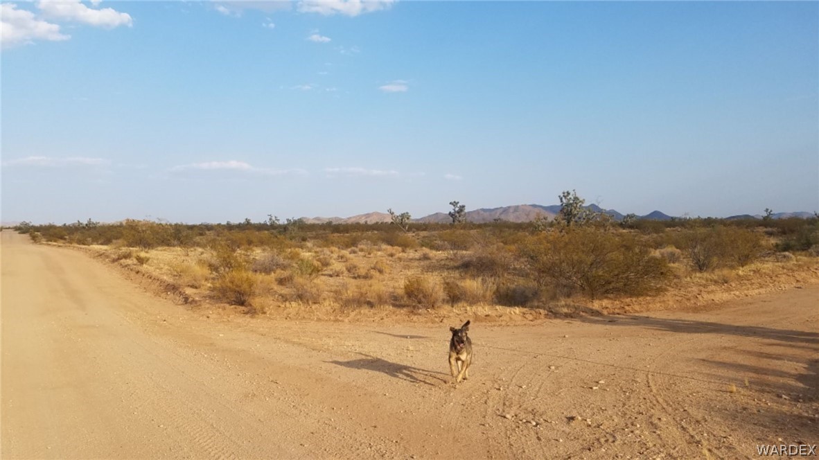Lot 290 South Rawhide Road Yucca, AZ 86438 - Photo 46 of 48 Gallery Image 46