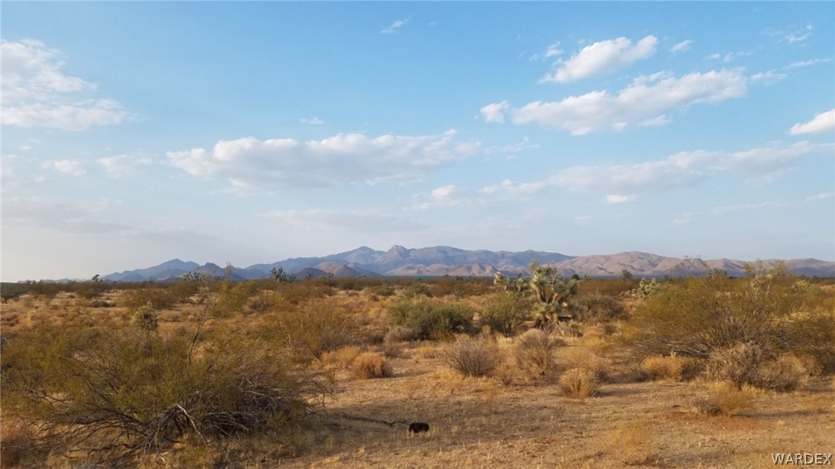 Lot 290 South Rawhide Road Yucca, AZ 86438 - Photo 7 of 48 Gallery Image 7
