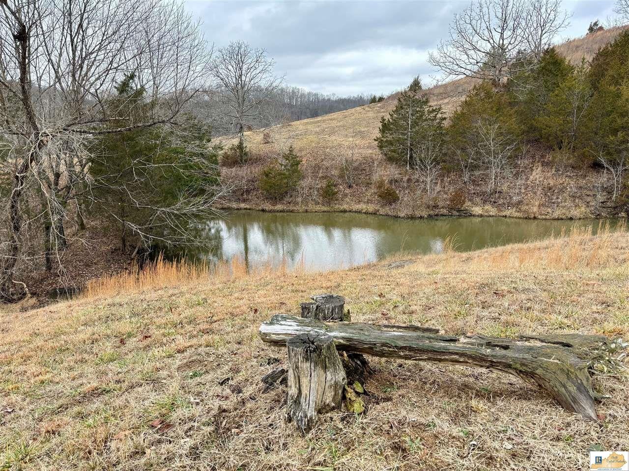 4422 Reese Hurt Road Edmonton, KY 42129 - Photo 1 of 1 Gallery Image 1