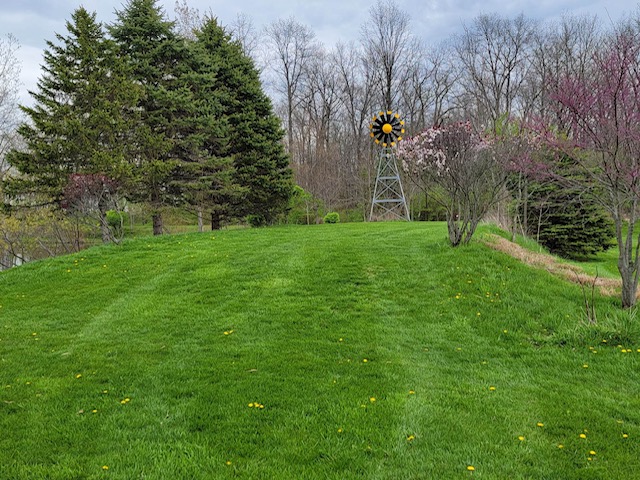 This verdant expanse offers a serene landscape, framed by mature trees and a charming windmill.