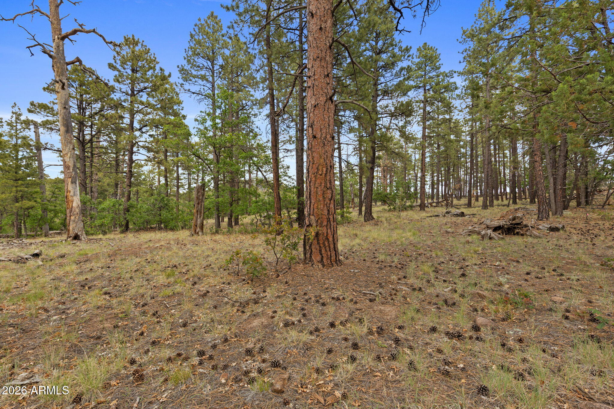 1628 Canyon View Loop, Unit 27 Williams, AZ 86046 - Photo 16 of 27