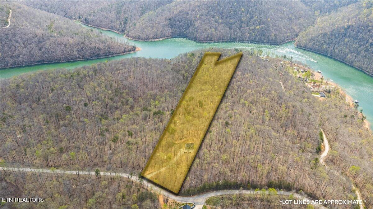 3061 Jones Ridge Road Speedwell, TN 37870 - Photo 12 of 41 02-3061 Jones Ridge Rd