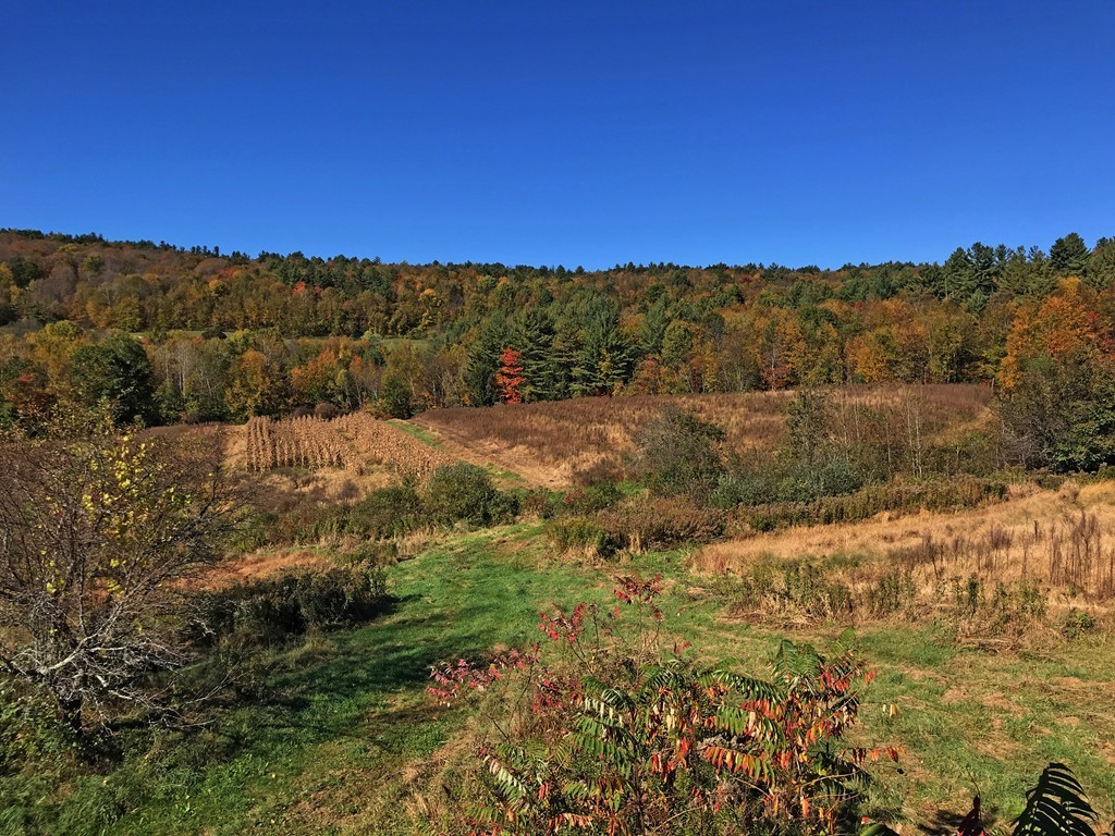 108 West Leyden Road Colrain, MA 01340 - Photo 30 of 30 a view of mountain with sunset view