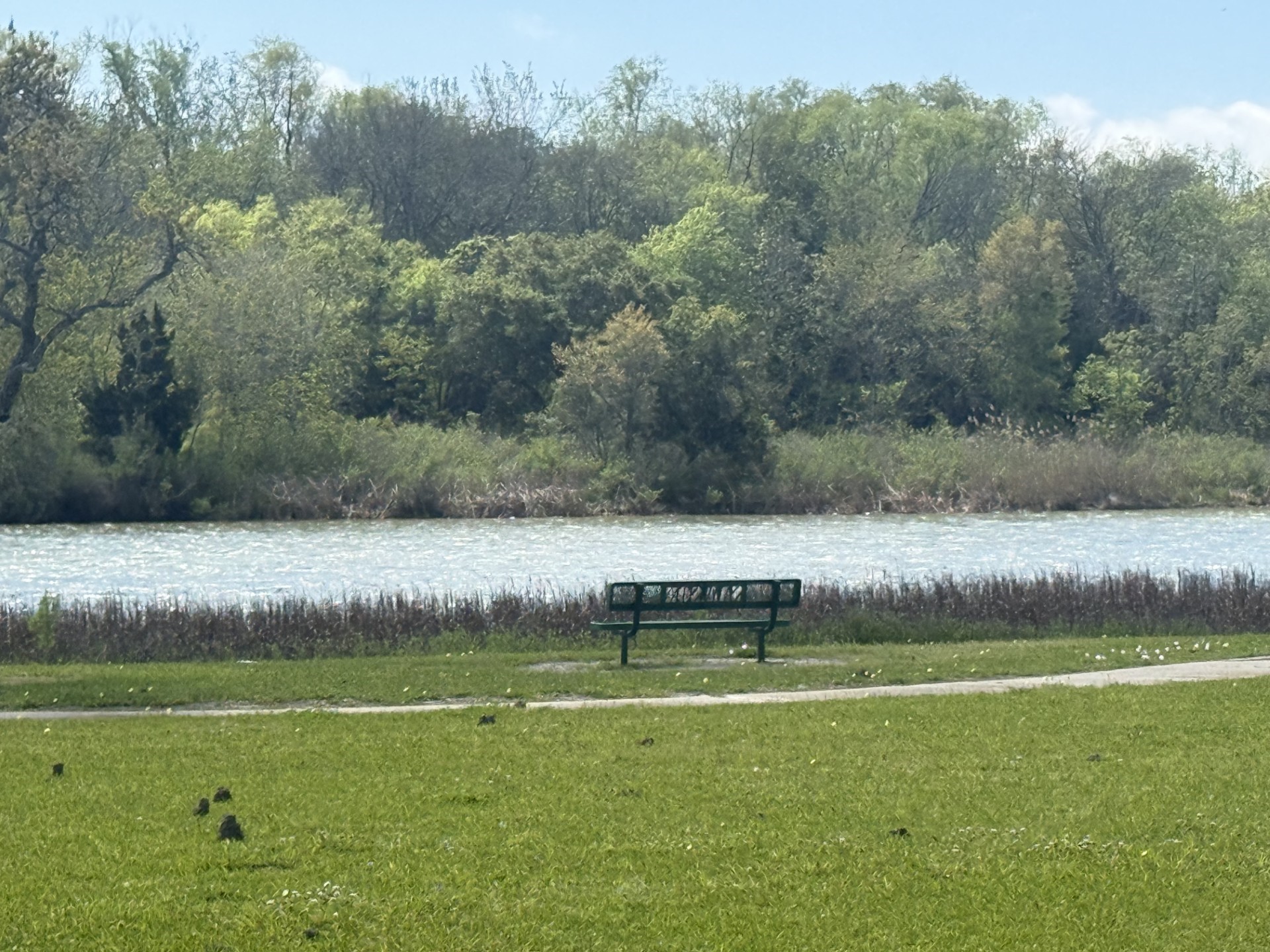 1 West Bayshore Road Anahuac, TX 77514 - Photo 8 of 9 a view of a lake with a yard and large trees