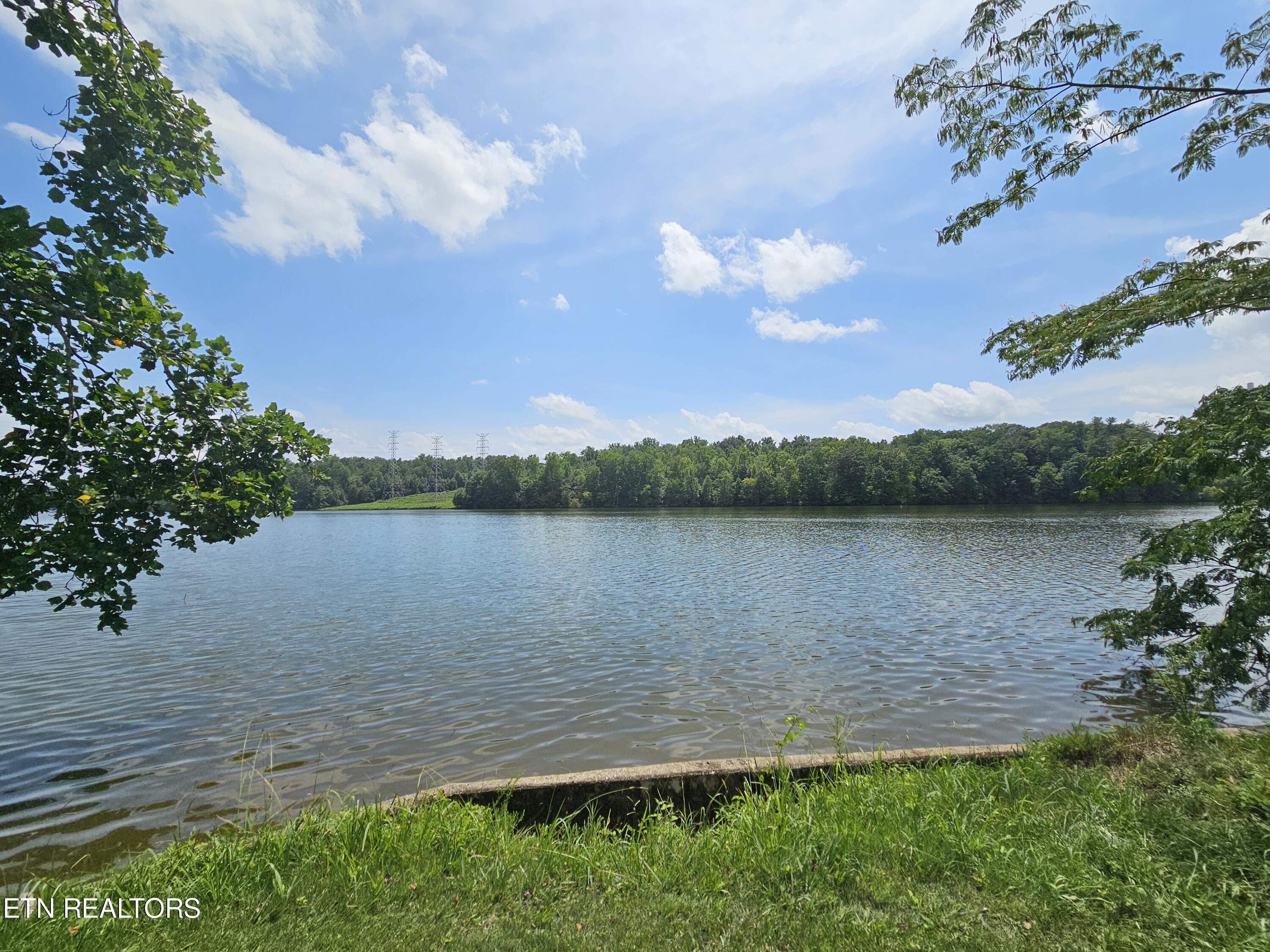 570 Emory River Road Harriman, TN 37748 - Photo 8 of 19 20240801_144748