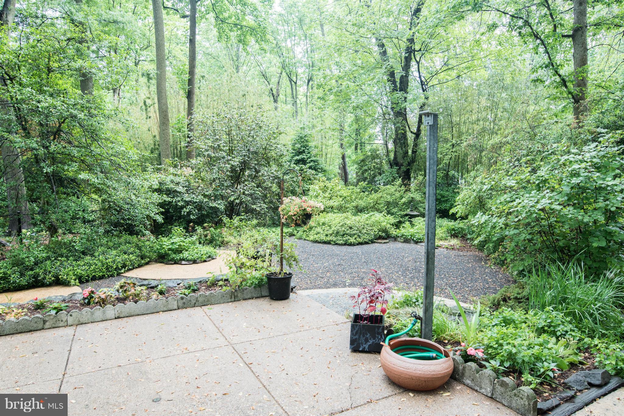 7608 Elba Road Alexandria, VA 22306 - Photo 12 of 24 Exterior (Rear)
