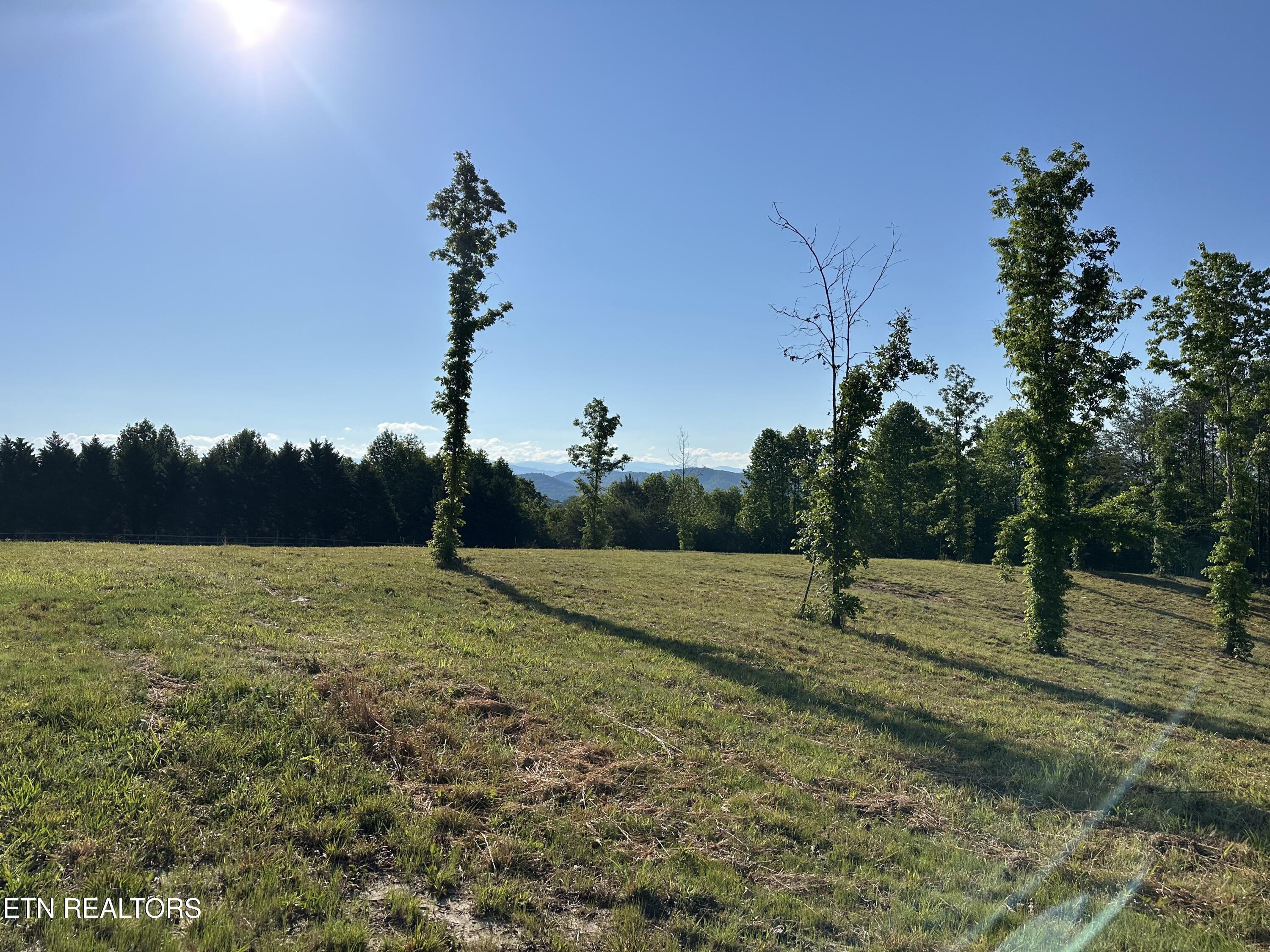 7 Curtis Road Tellico Plains, TN 37385 - Photo 15 of 18 IMG_9406