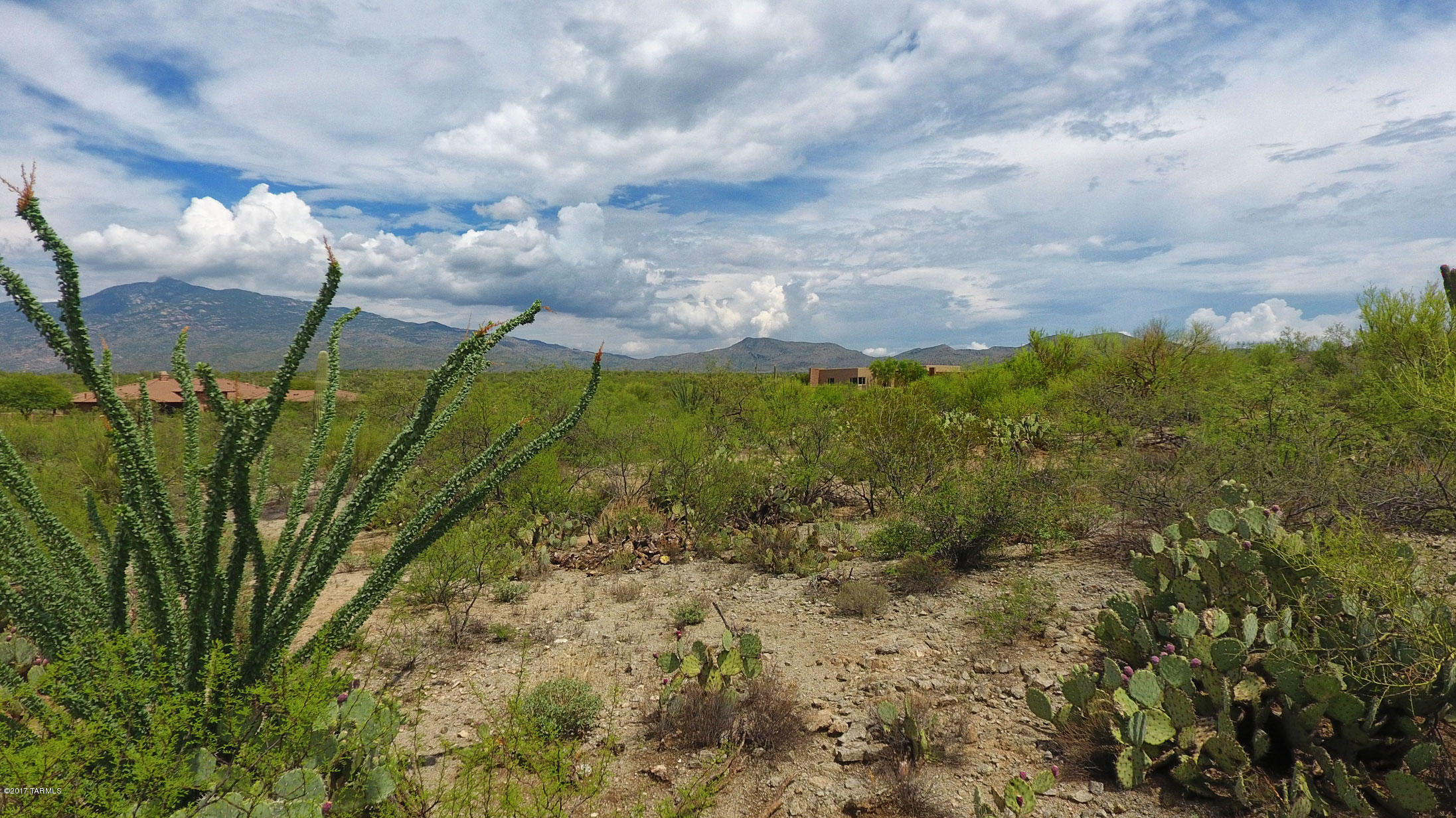 15620 East Tumbling Q Ranch Place, Unit 157 Vail, AZ 85641 - Photo 8 of 38