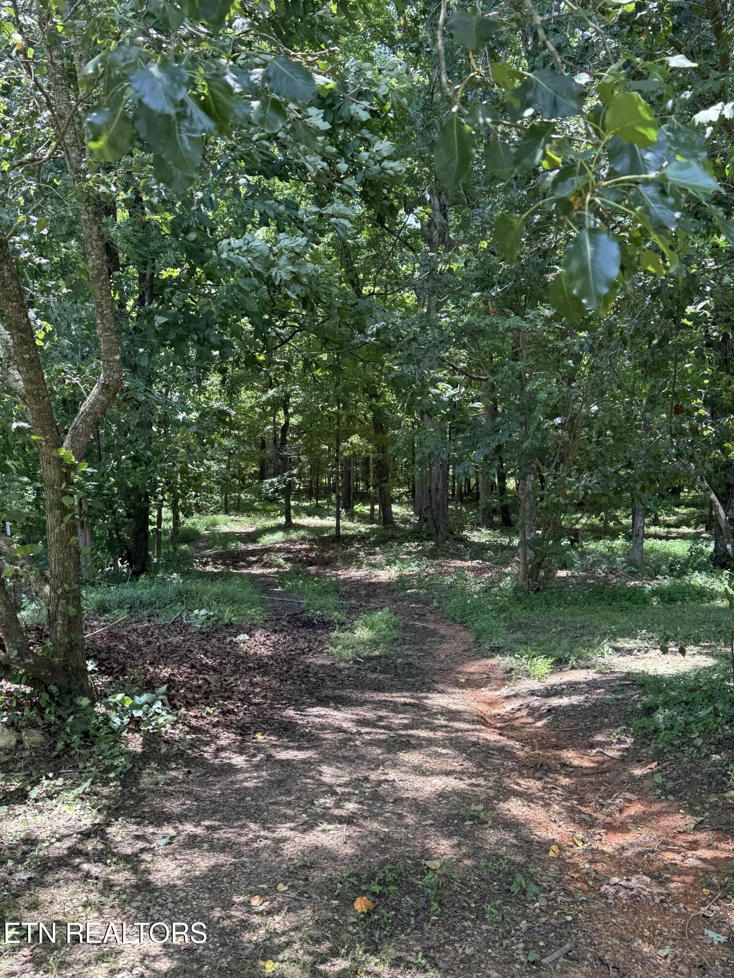 426 County Road 728 Riceville, TN 37370 - Photo 33 of 43 IMG_6445