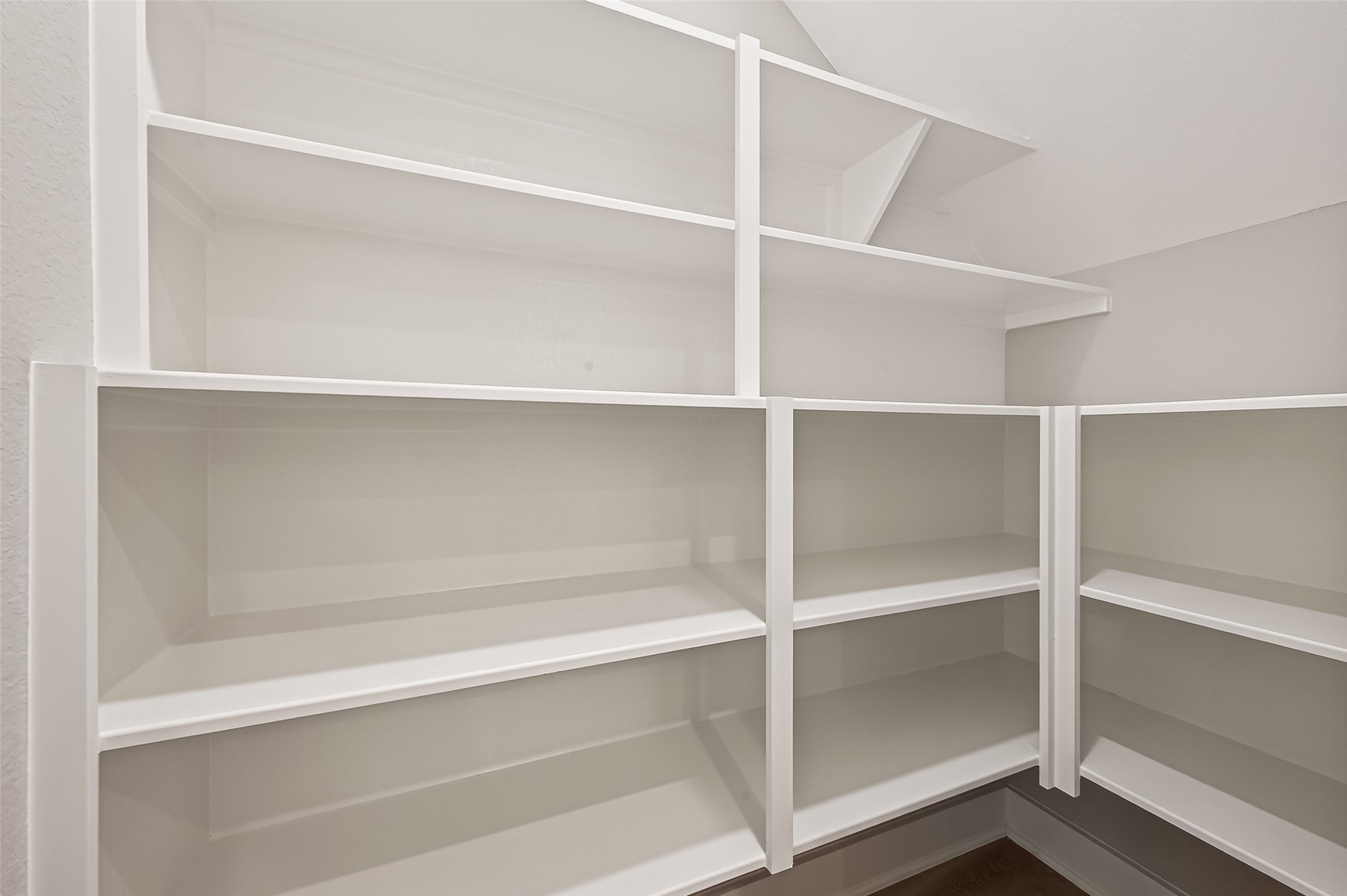 3514 Runnels Street, Unit B Houston, TX 77003 - Photo 10 of 39 Now take a look at all the space in the pantry -- so many shelves, and so useful!