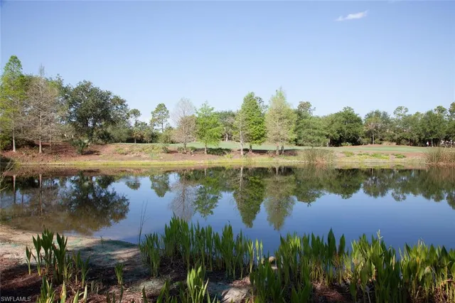a view of a lake with houses in the back