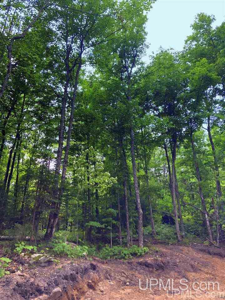 Tbd Deer Lake Road Ishpeming, MI 49849 - Photo 28 of 47
