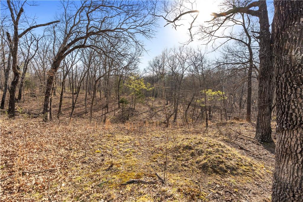 1 East Overland Road Nevada, MO 64772 - Photo 15 of 20
