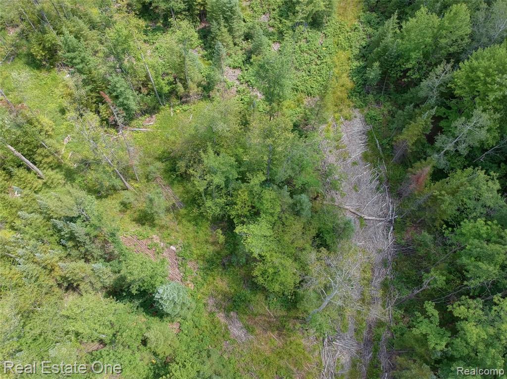 0 South Morrison Road West Branch, MI 48661 - Photo 30 of 38