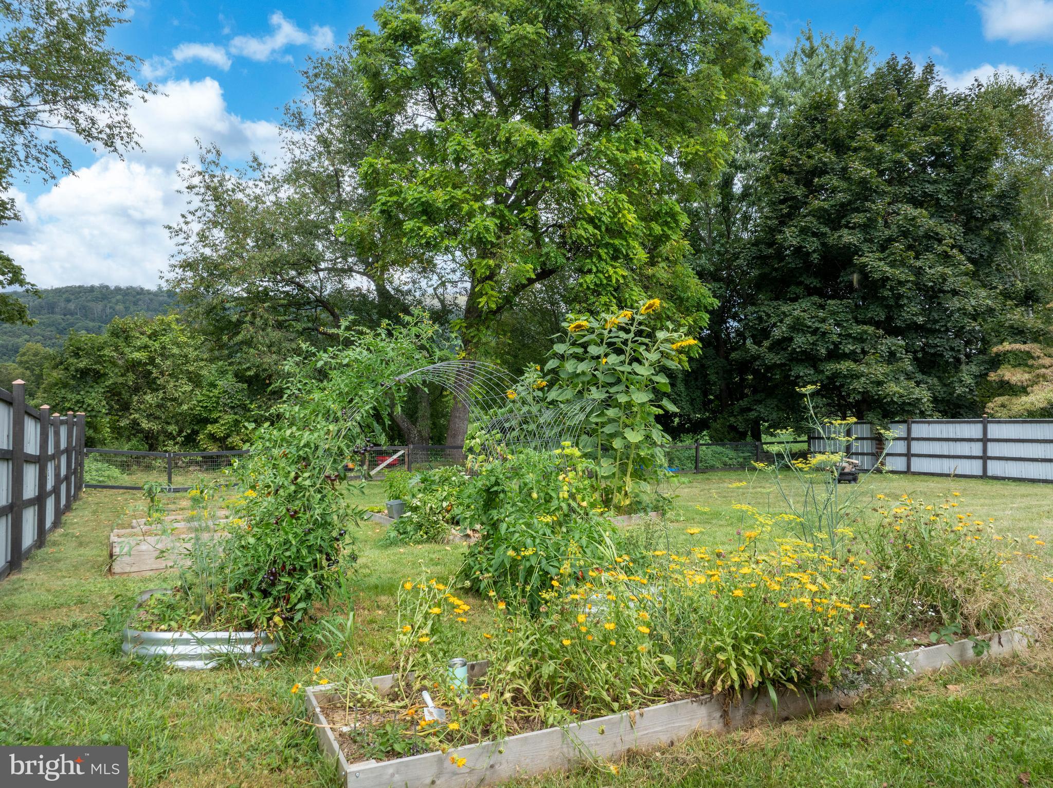 112 Harvard Road Port Matilda, PA 16870 - Photo 9 of 55 Gallery Image 9