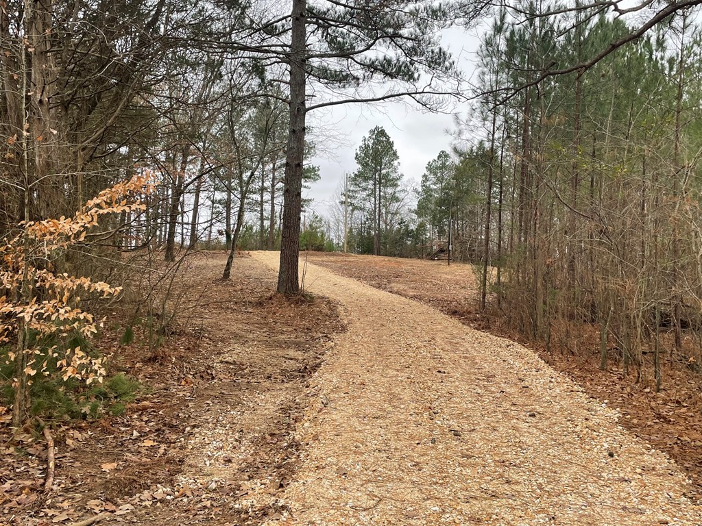 0 Ballard Road Camden, TN 38320 - Photo 2 of 7 Gallery Image 2
