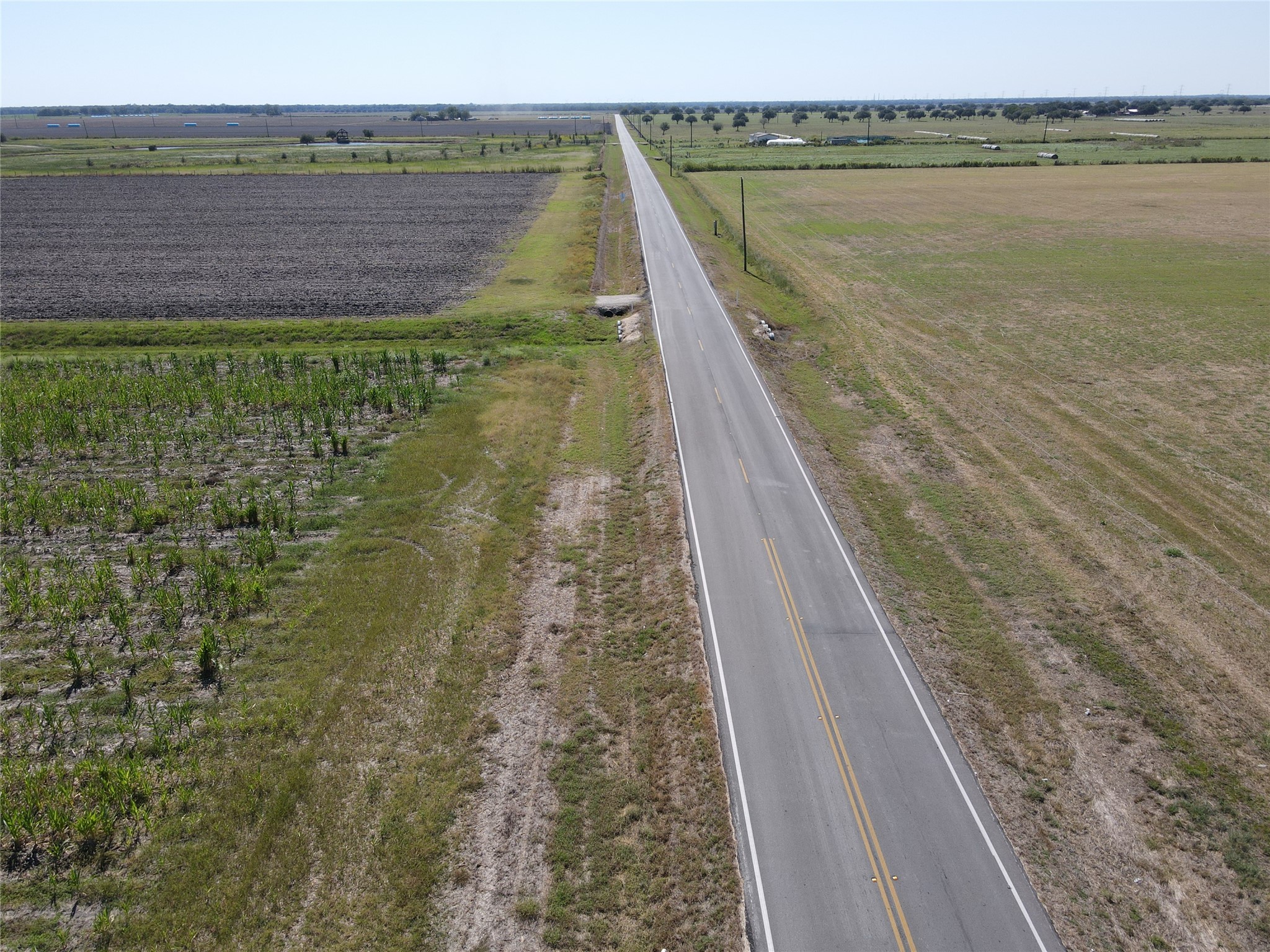 Tbd Shenley Road Guy, TX 77444 - Photo 7 of 10