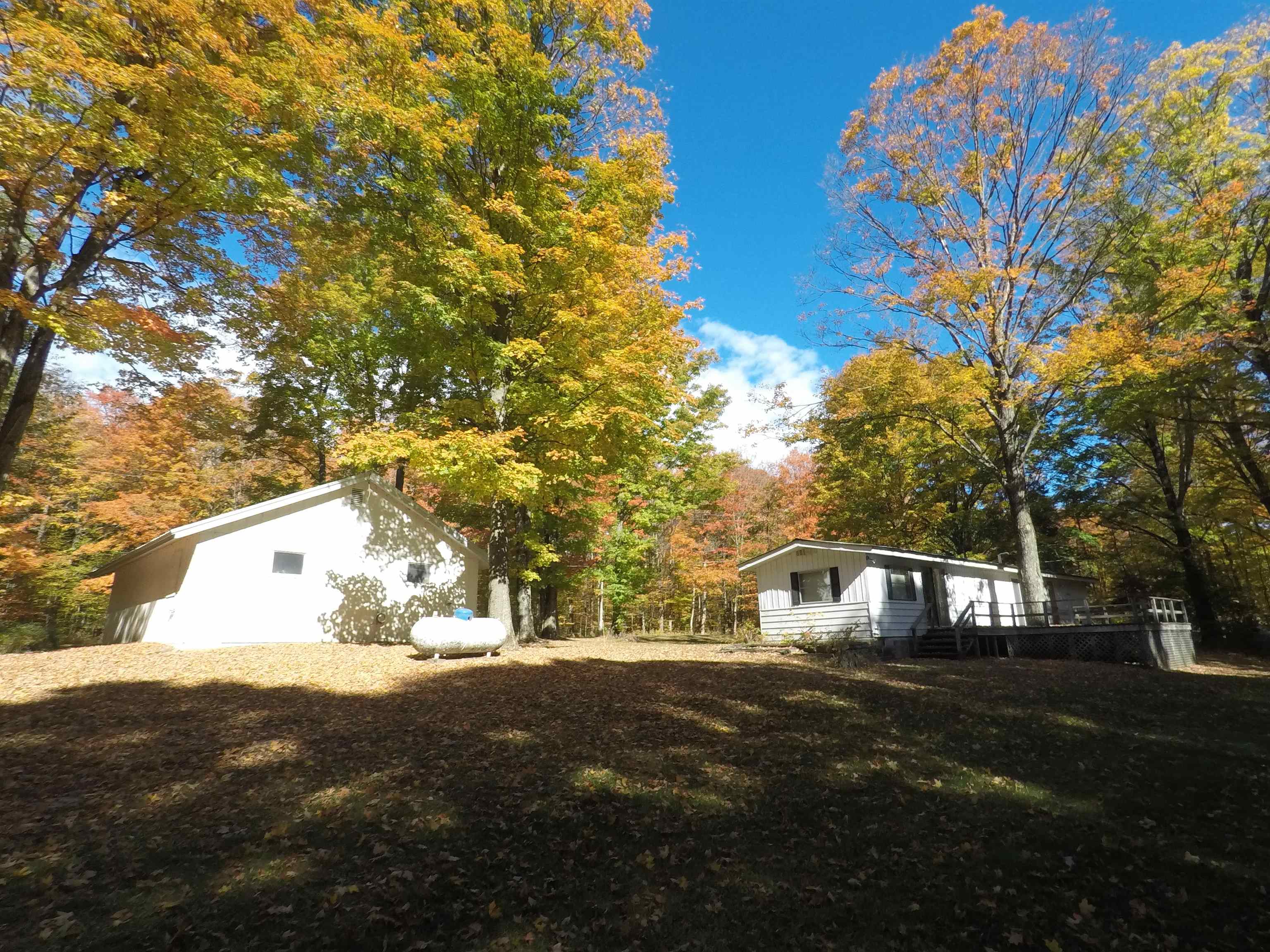 7841 West 28 Road Harrietta, MI 49638 - Photo 8 of 24