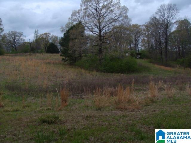 406 Caffe Ridge, Unit PARCEL Woodstock, AL 35188 - Photo 8 of 30