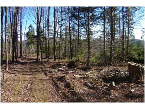553 Bixby Road Ludlow, VT 05149 - Photo 14 of 17