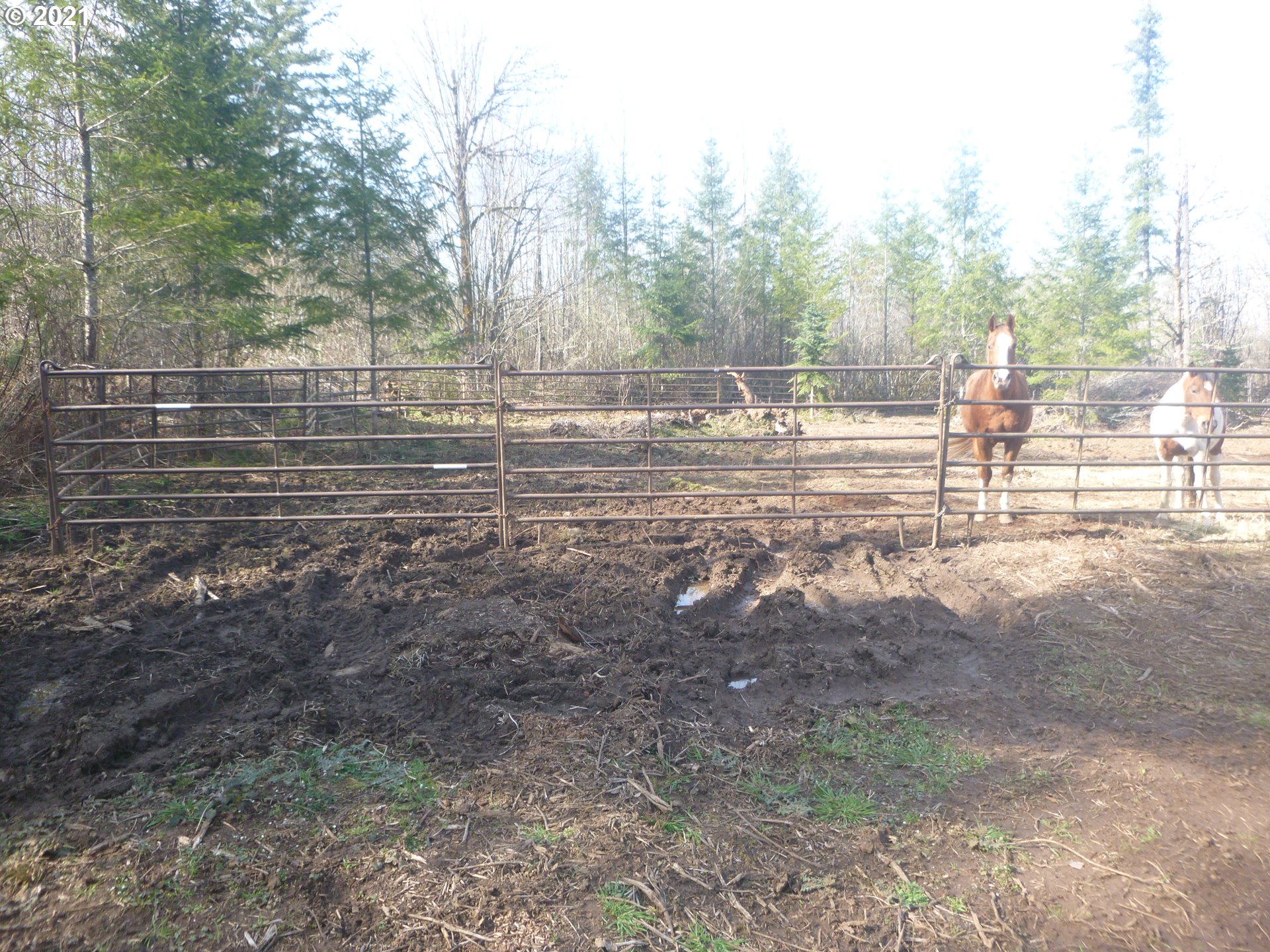 0 East Lacomb Road Lebanon, OR 97355 - Photo 12 of 31