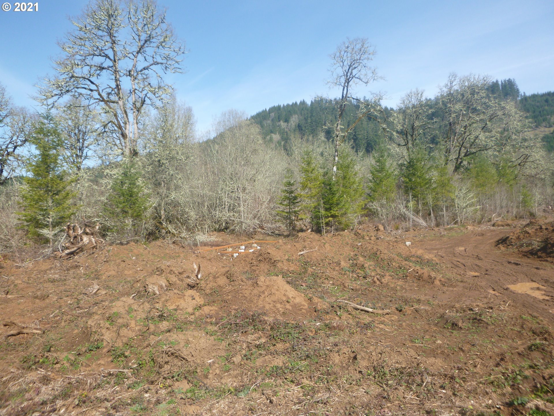 0 East Lacomb Road Lebanon, OR 97355 - Photo 20 of 31