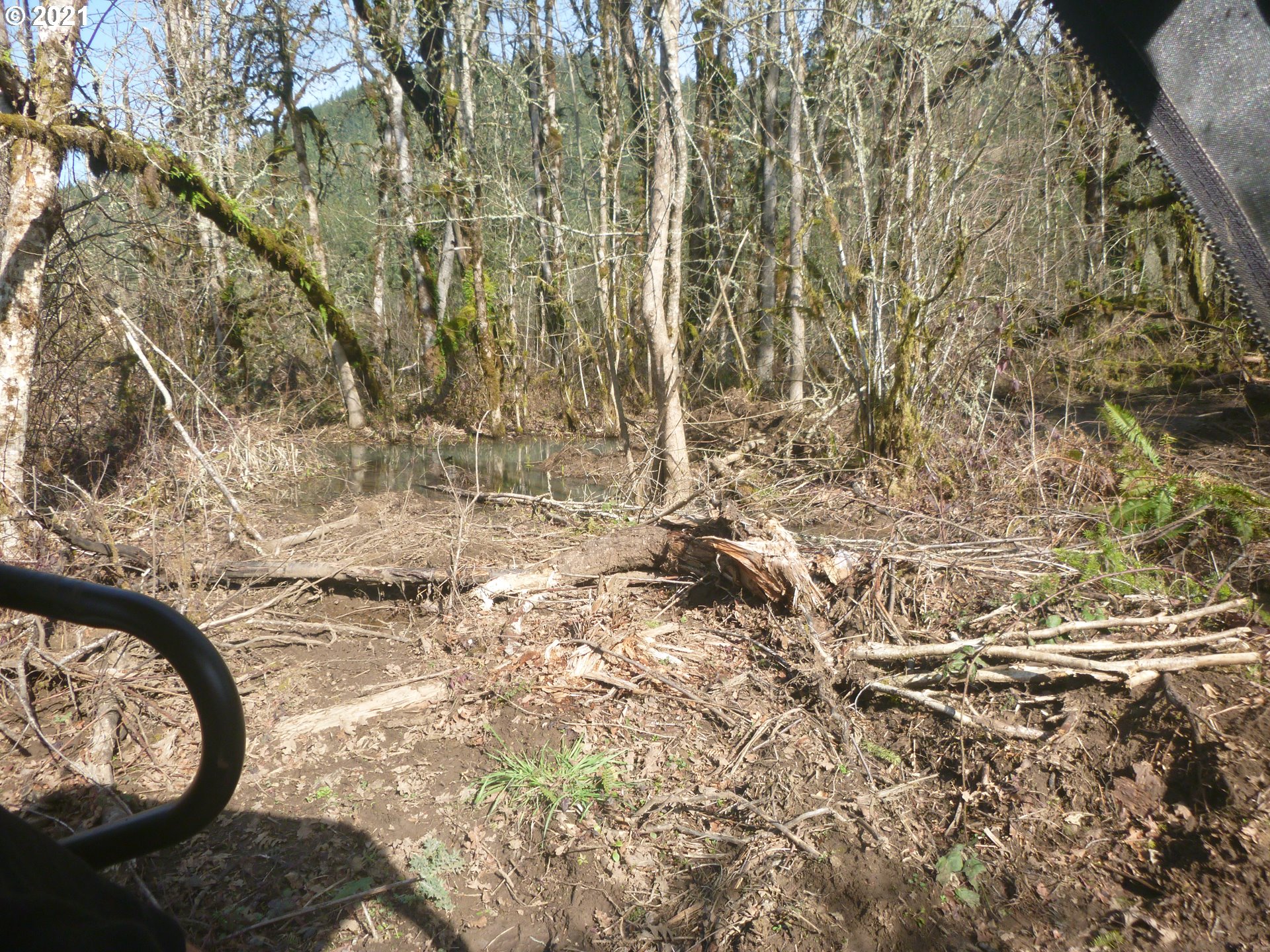 0 East Lacomb Road Lebanon, OR 97355 - Photo 21 of 31
