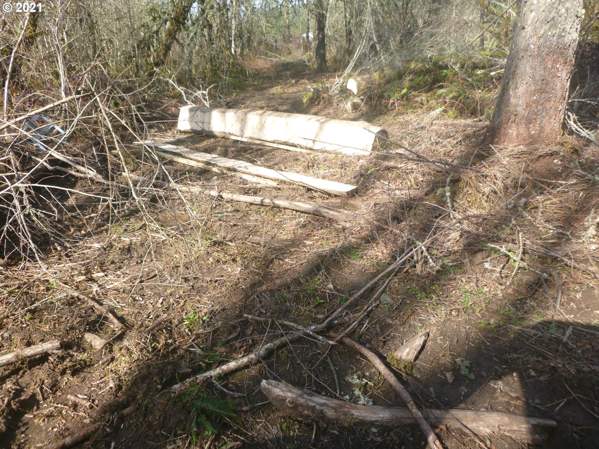 0 East Lacomb Road Lebanon, OR 97355 - Photo 25 of 31