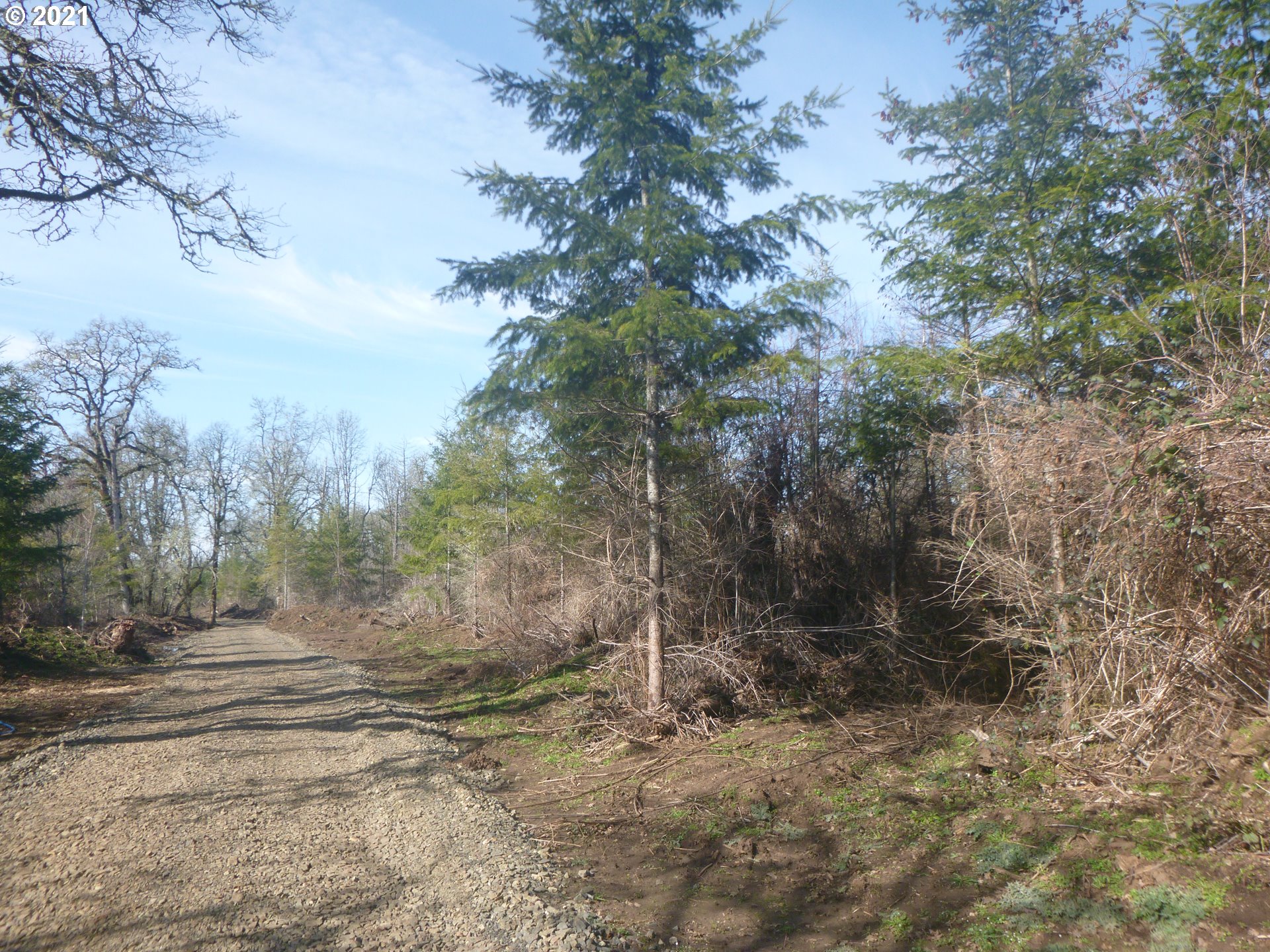 0 East Lacomb Road Lebanon, OR 97355 - Photo 5 of 31