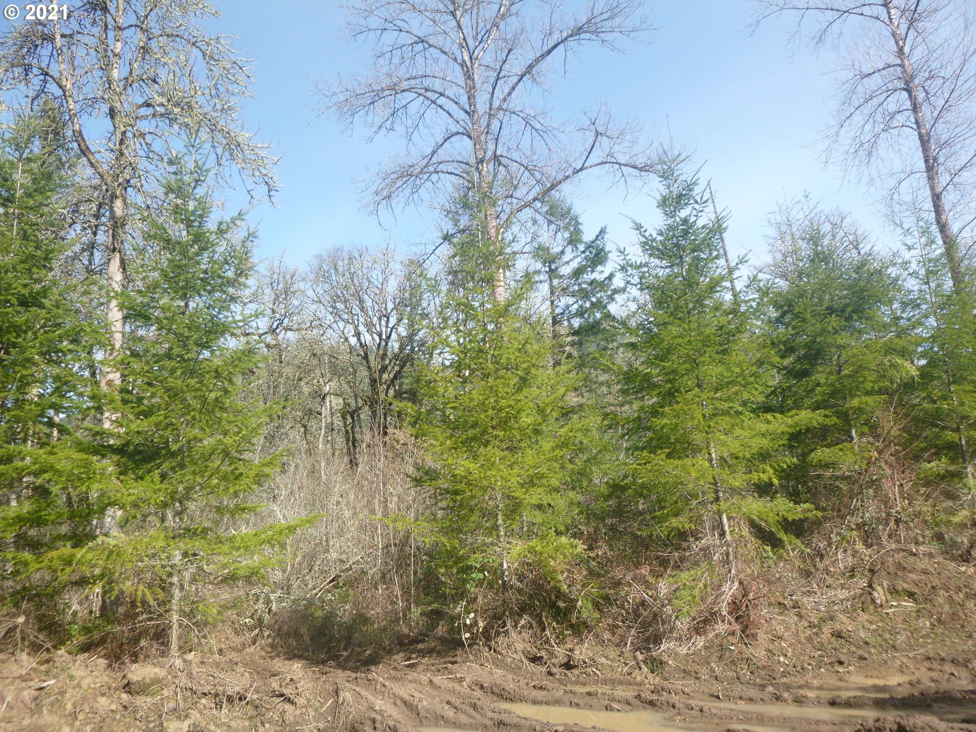 0 East Lacomb Road Lebanon, OR 97355 - Photo 9 of 31