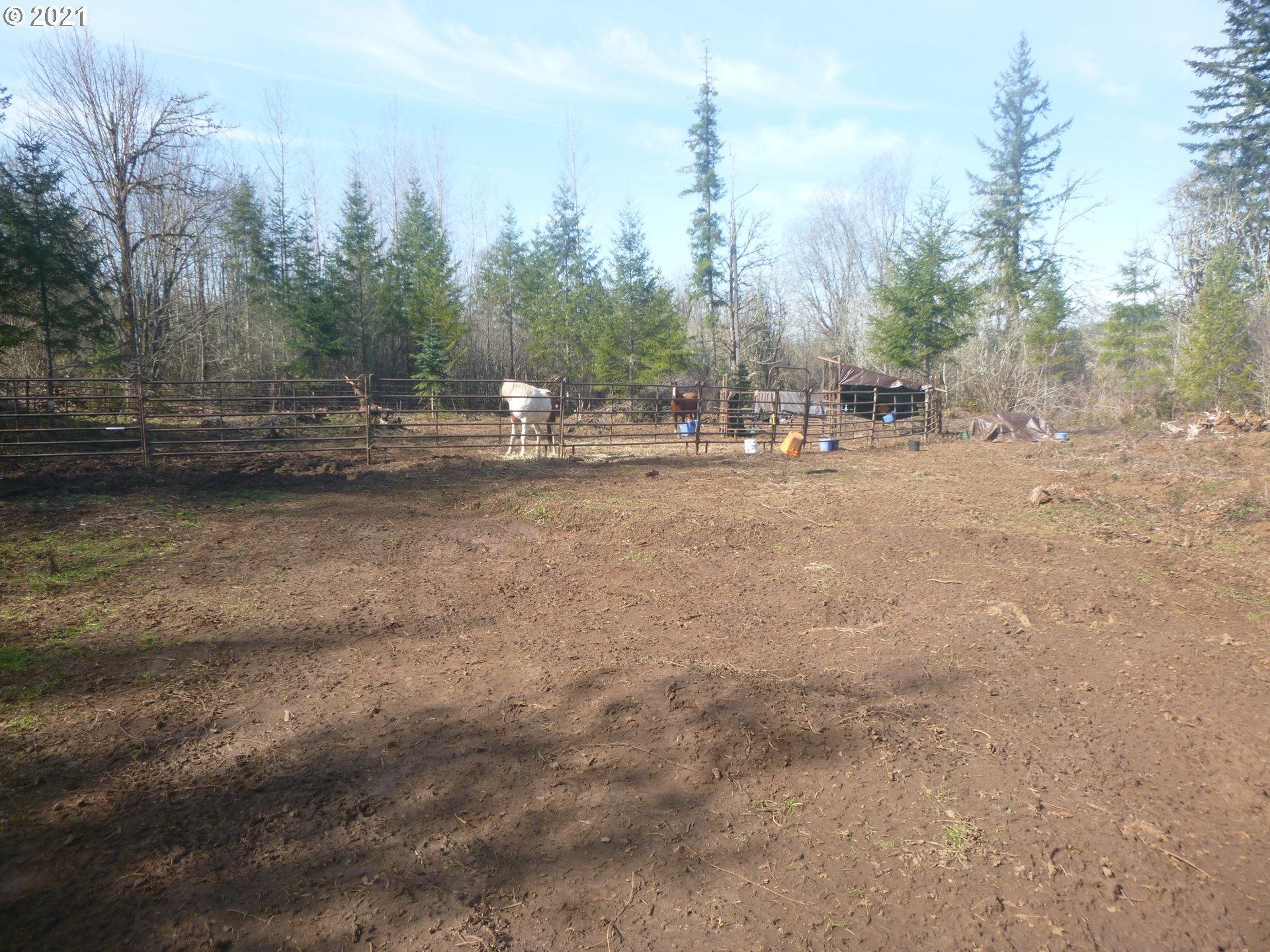 0 East Lacomb Road Lebanon, OR 97355 - Photo 10 of 31