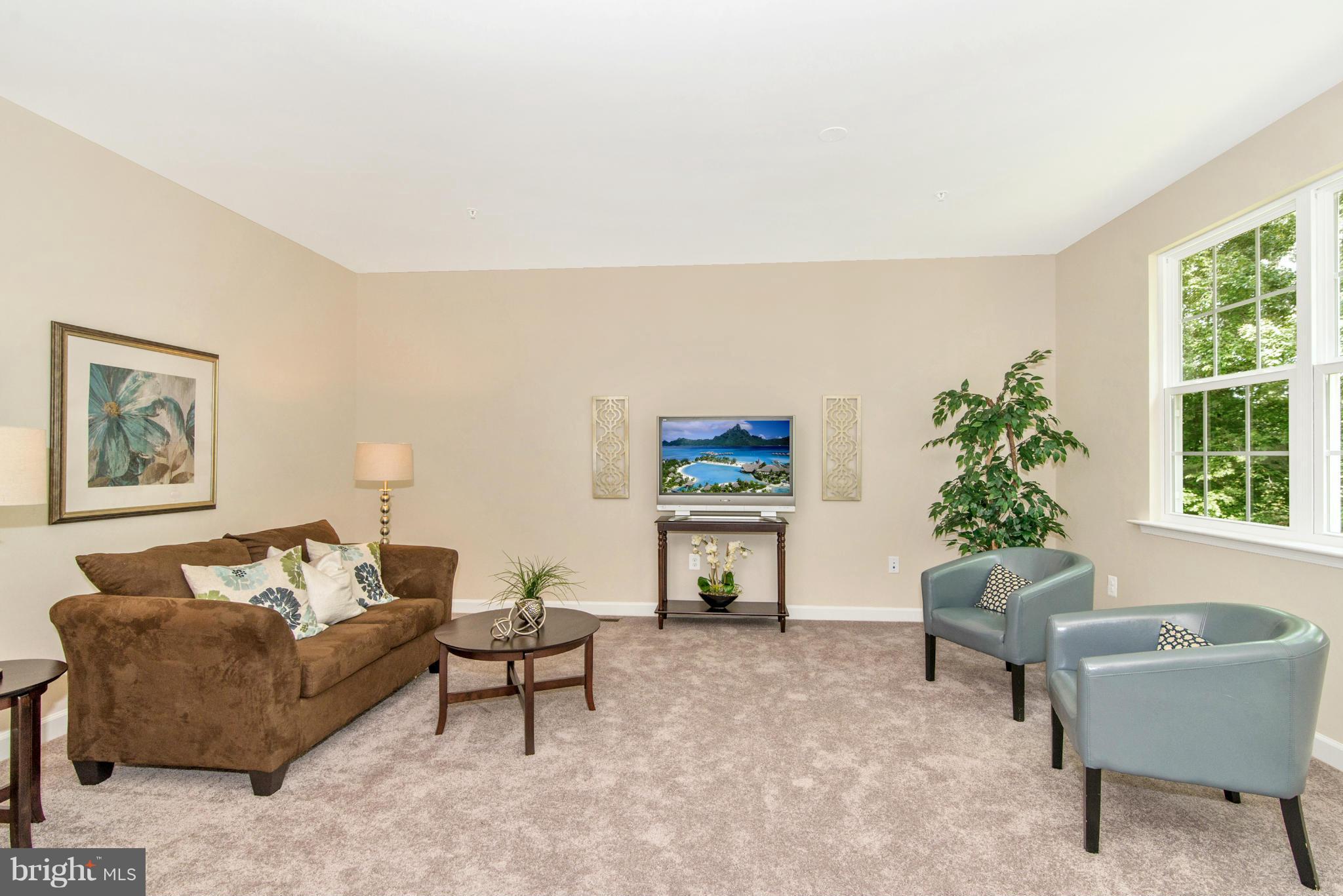 11 Cassidy Court Point of Rocks, MD 21777 - Photo 18 of 30 a living room with furniture and a potted plant
