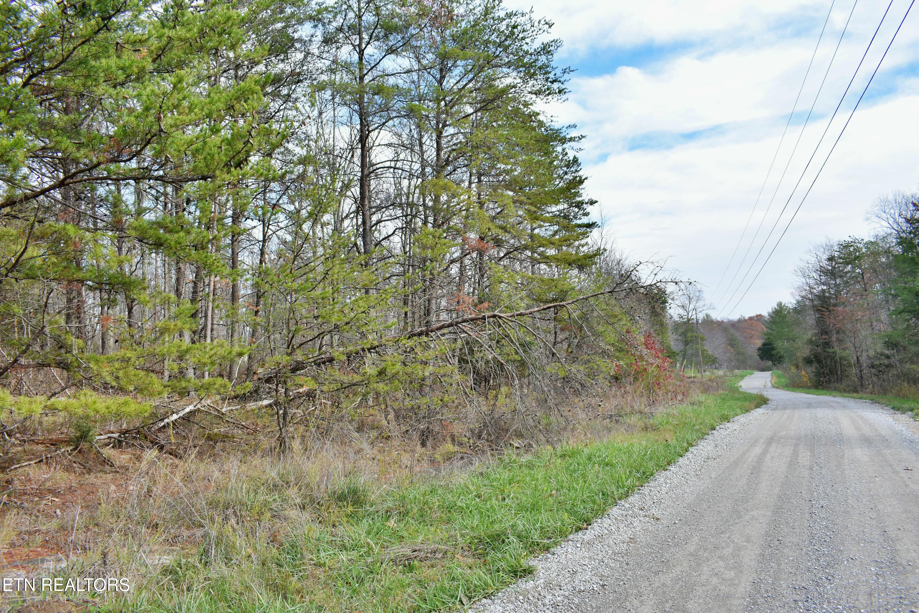 9-13 Russell Dr Spring Spring City, TN 37381 - Photo 10 of 20 tempImagex8eEjY