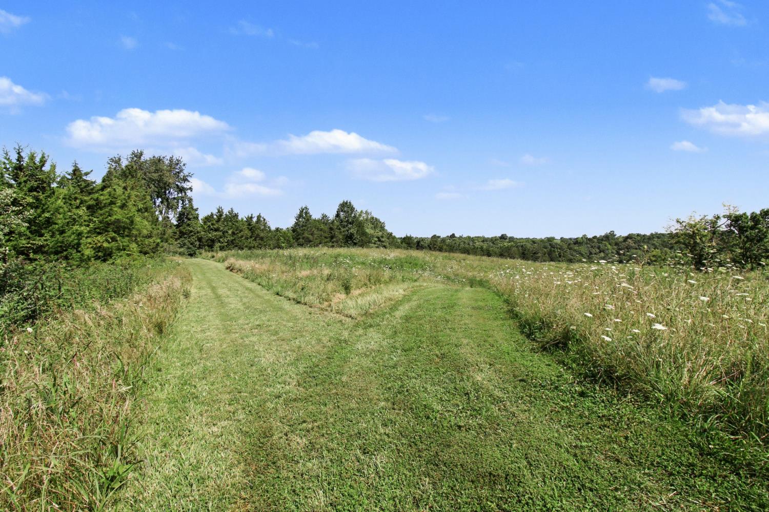 0 Bascom Corner Road Rising Sun, IN 47040 - Photo 13 of 32 Gallery Image 13