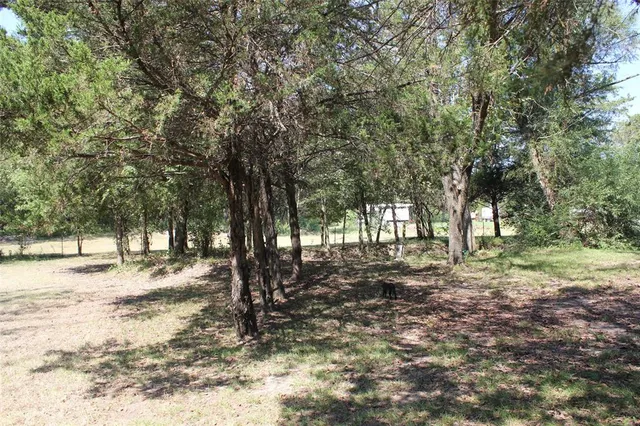 a view of a yard with plants and trees
